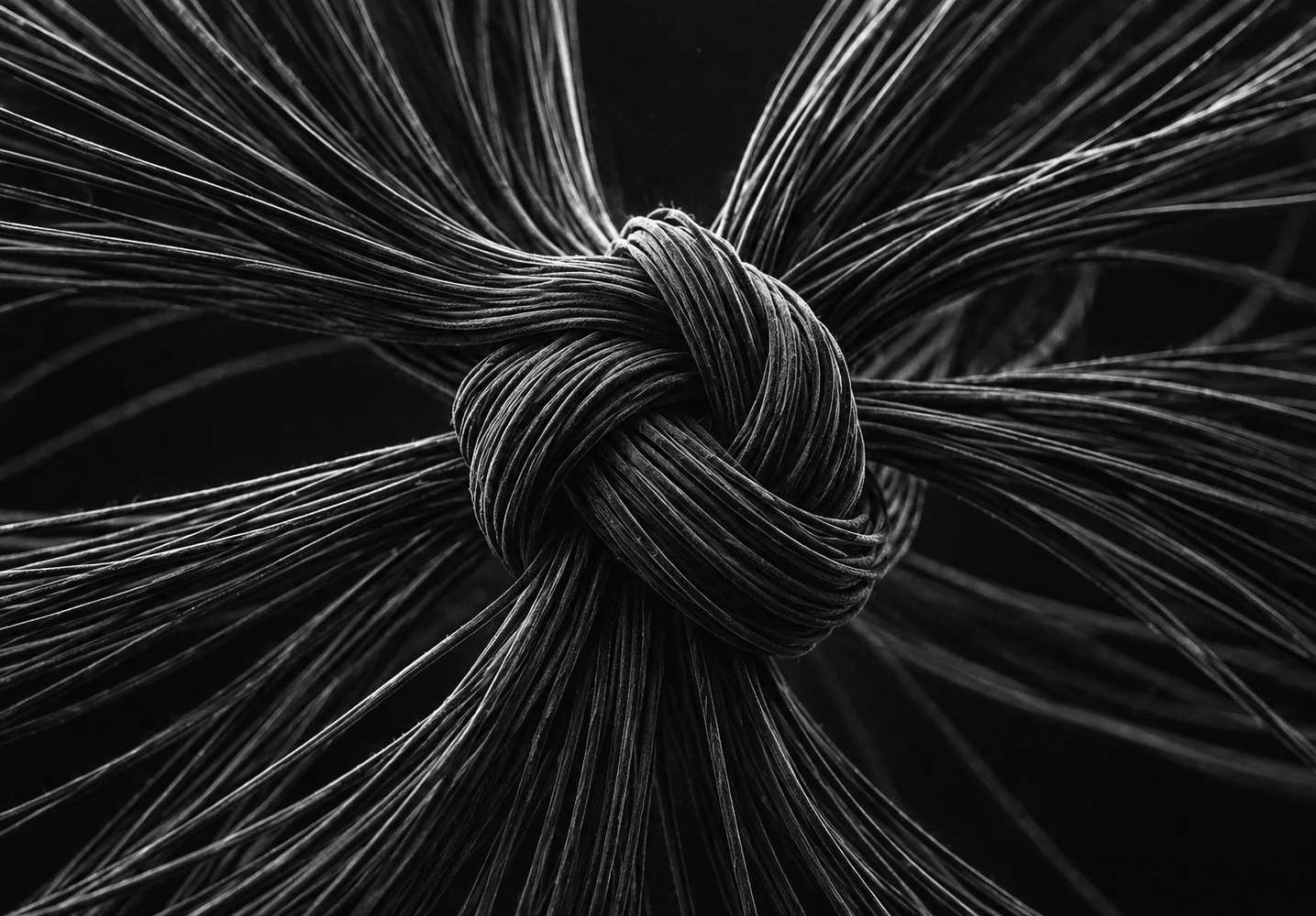 Black and white 3D render of a tight knot of fibres on a white background