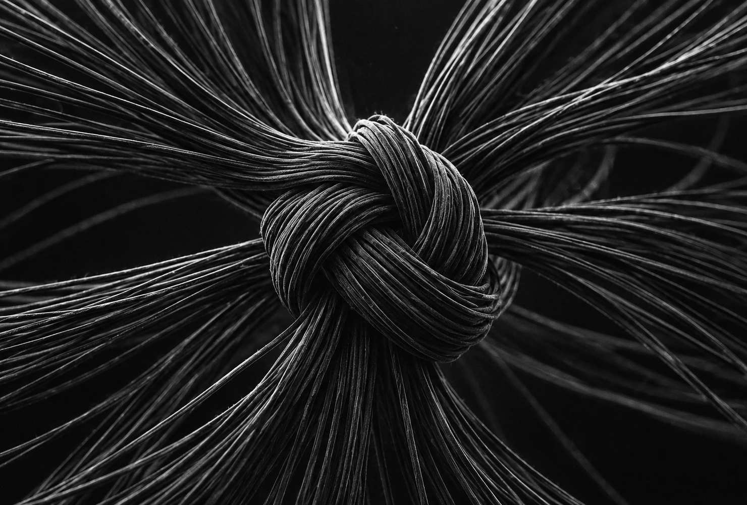 Black and white 3D render of a tight knot of fibres on a white background